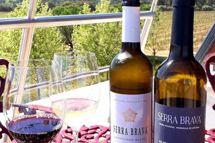 Grândola wine tasting