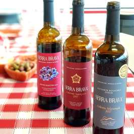 Grândola wine tasting