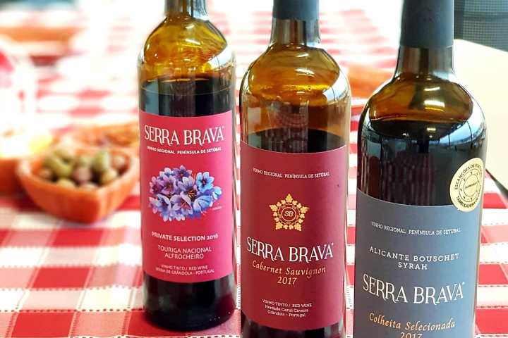 Grândola wine tasting