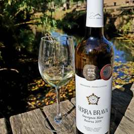 Grândola wine tasting