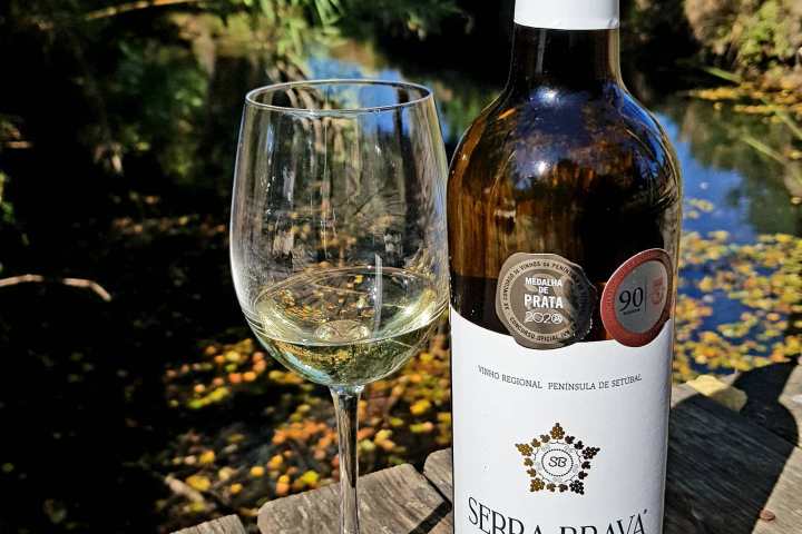 Grândola wine tasting