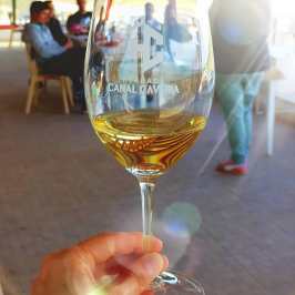Grândola wine tasting