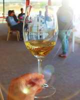 Grândola wine tasting