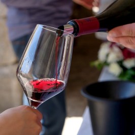 serra da estrela wine tasting