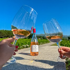 serra da estrela wine tasting