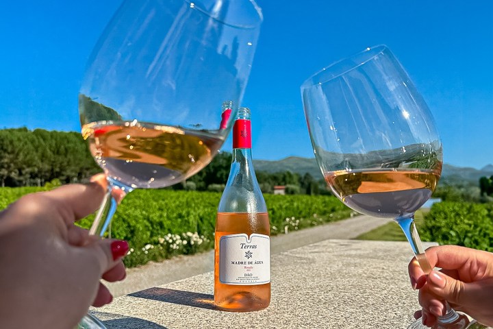 serra da estrela wine tasting