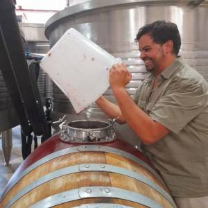 Evora Grape Stomping