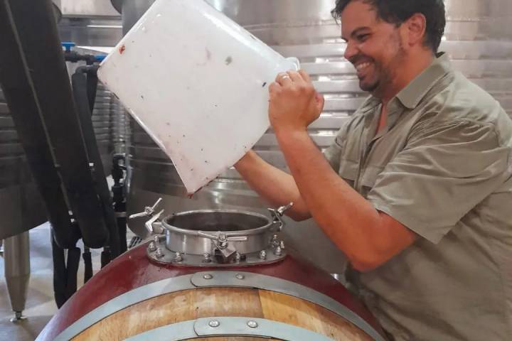 Evora Grape Stomping