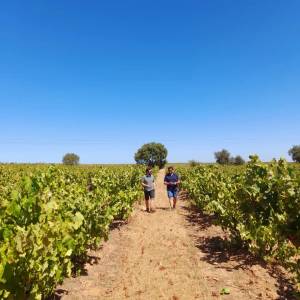 Evora Grape Stomping