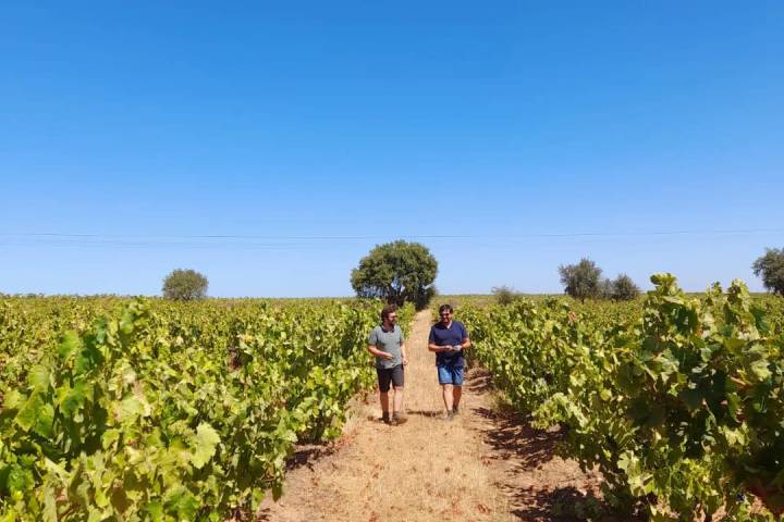 Evora Grape Stomping