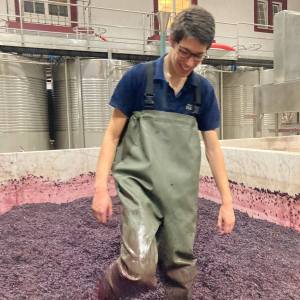 Evora Grape Stomping
