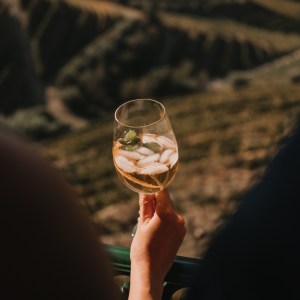 grape harvest program