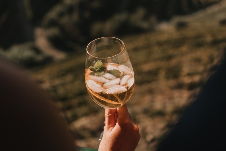 grape harvest program