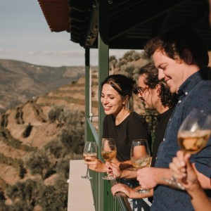 grape harvest program