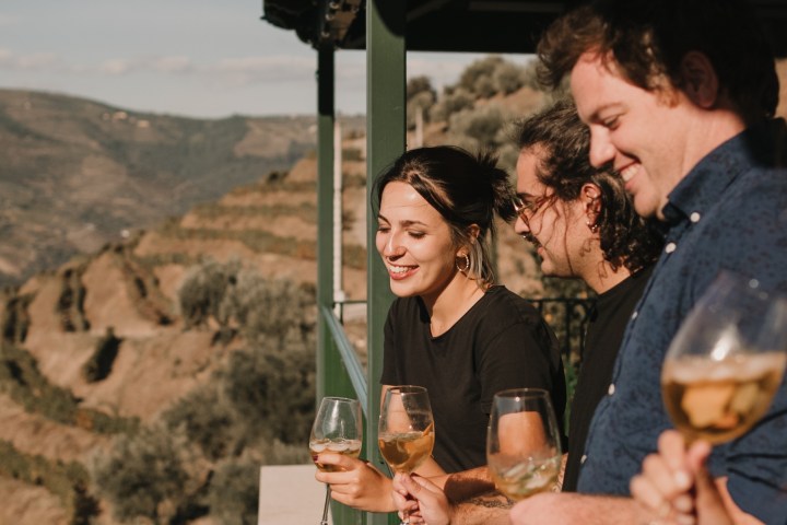 grape harvest program