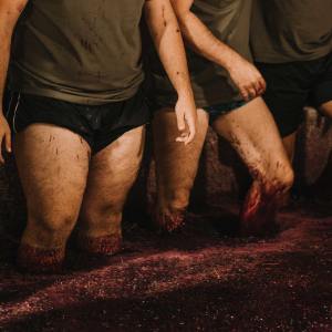 grape harvest program