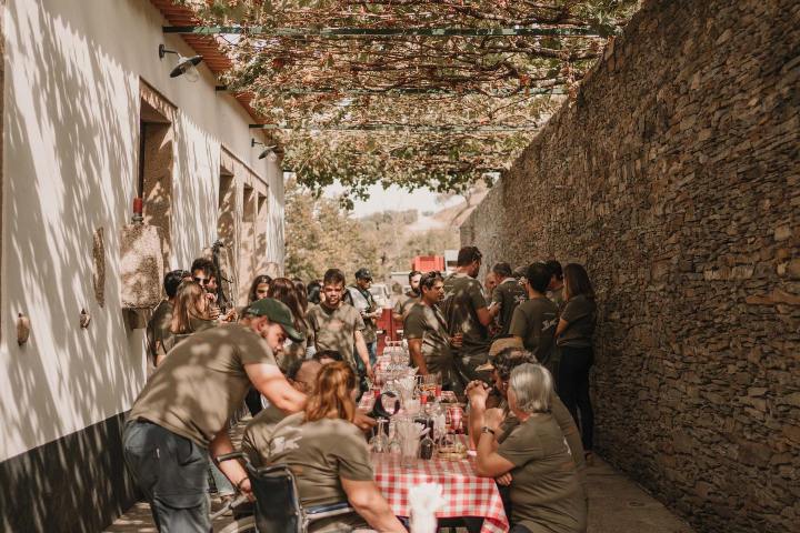 grape harvest program