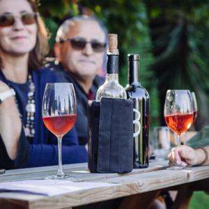 grape harvest program