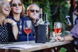 grape harvest program