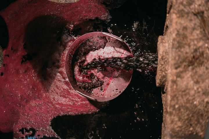 grape harvest program