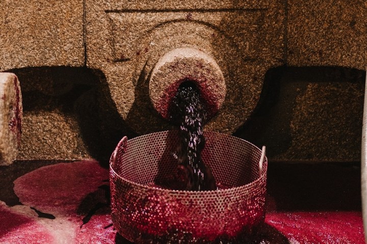 grape harvest program