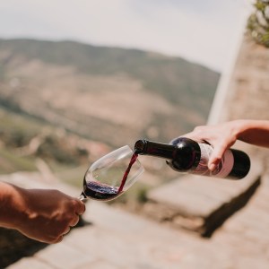 grape harvest program