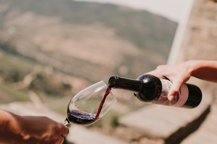 grape harvest program