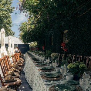 lamego grape harvest