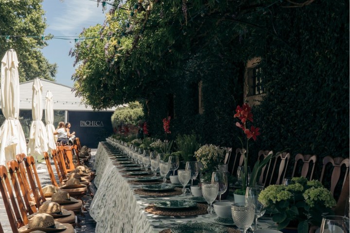 lamego grape harvest