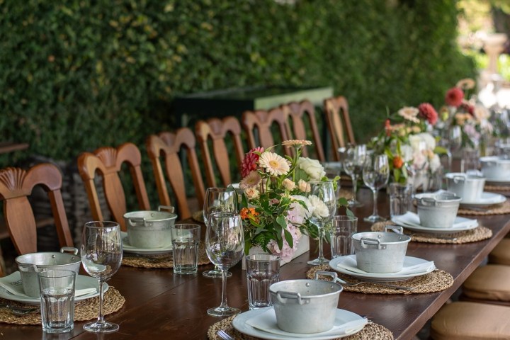 lamego grape harvest