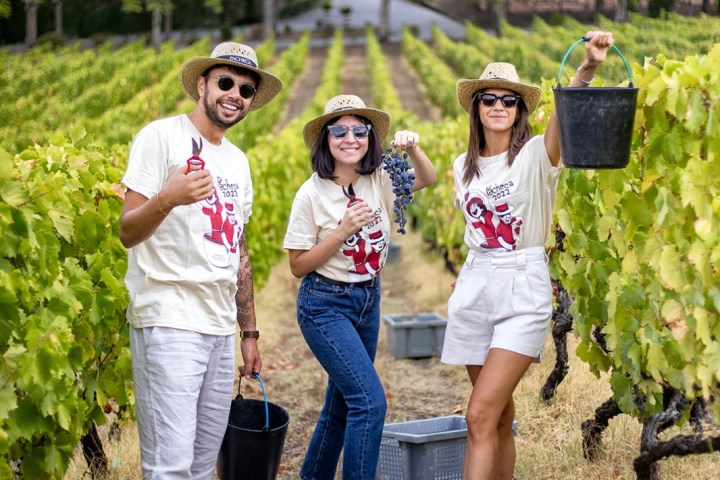 lamego grape harvest