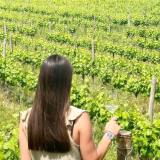 alenquer grape harvest tour