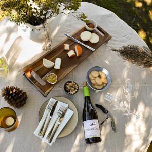 Lisbon grape harvest experience