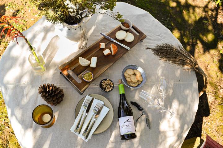 Lisbon grape harvest experience