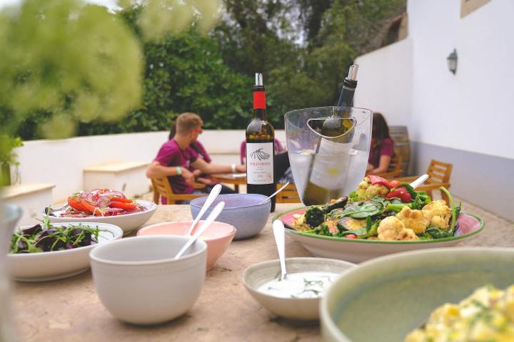 Lisbon grape harvest experience