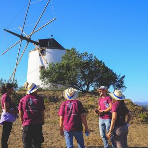Lisbon grape harvest experience