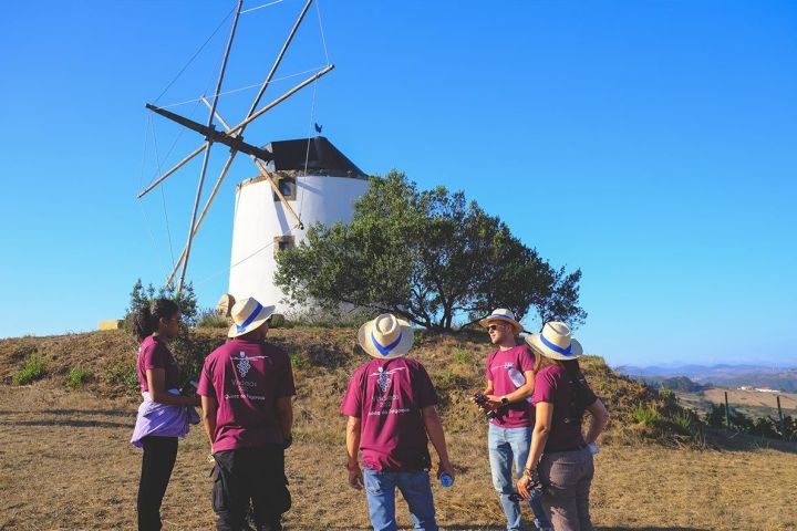 Lisbon grape harvest experience