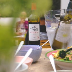 Lisbon grape harvest experience