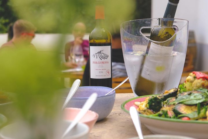 Lisbon grape harvest experience