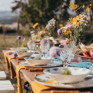 Lisbon grape harvest experience