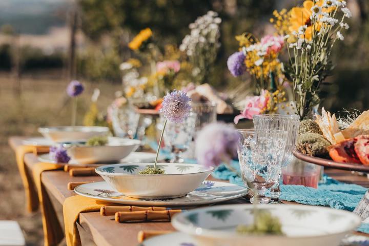 Lisbon grape harvest experience