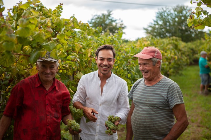 melgaço grape harvest