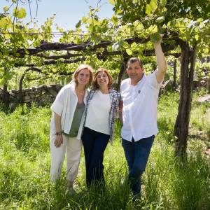 melgaço grape harvest