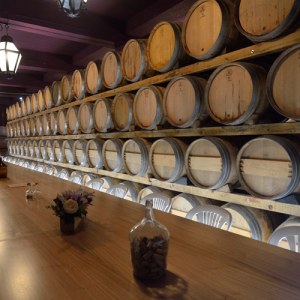 palmela harves grape tour