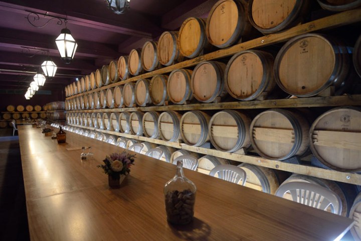 palmela harves grape tour