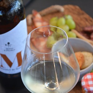 palmela harves grape tour