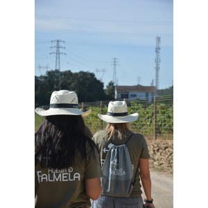 palmela harves grape tour
