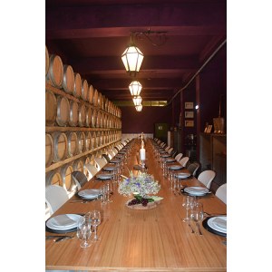 palmela harves grape tour