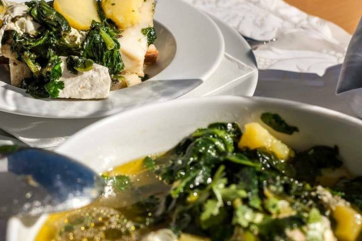 Vidigueira Grape Harvest