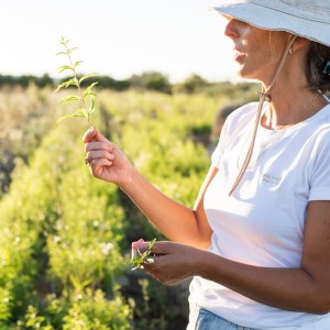 Évora Aromatic farm tour